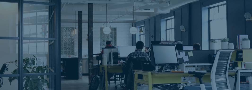 Low-Cost Software Development