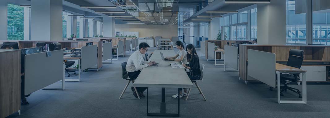 premium software development company rates