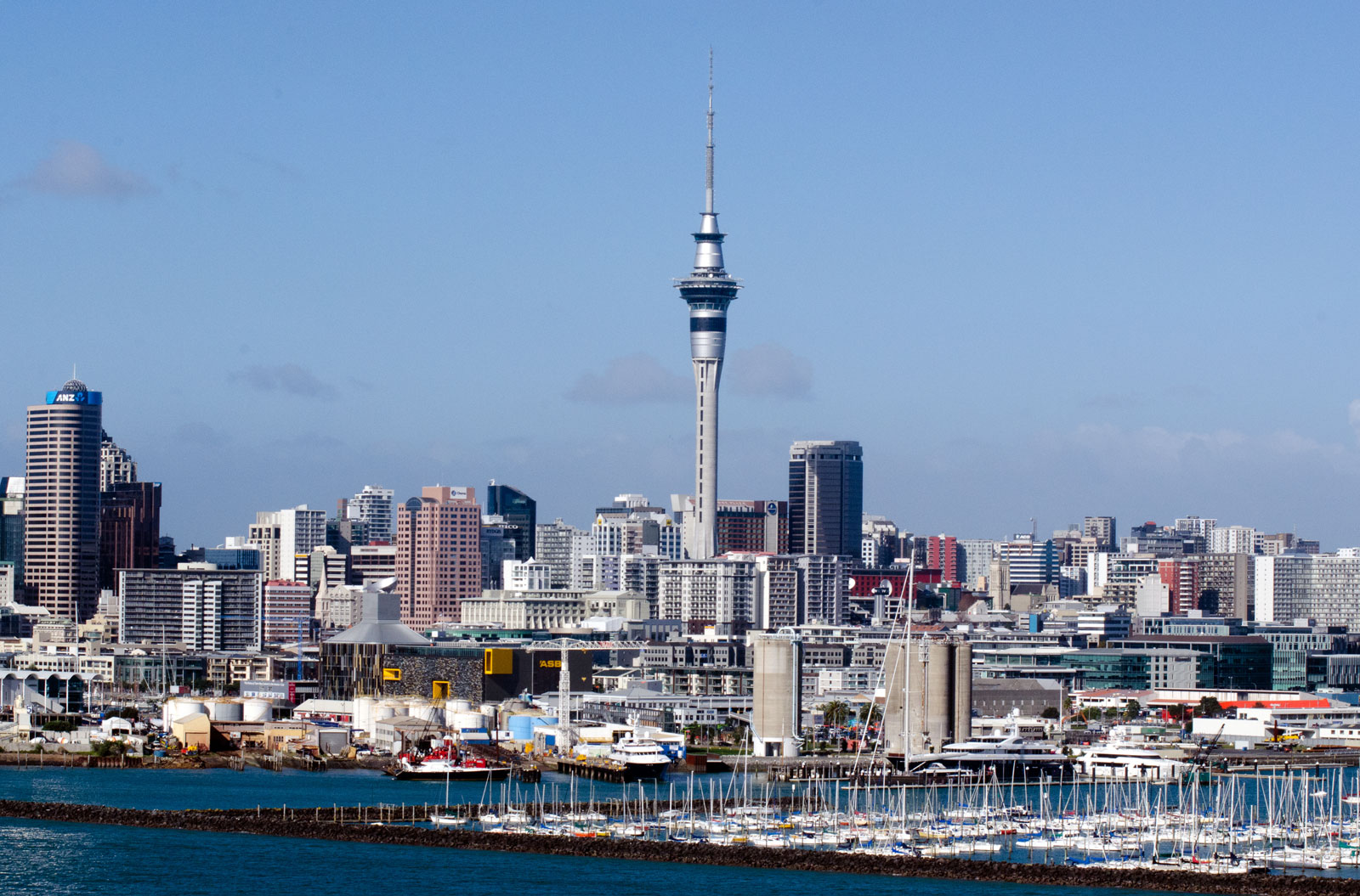 Node JS Development Company in Auckland