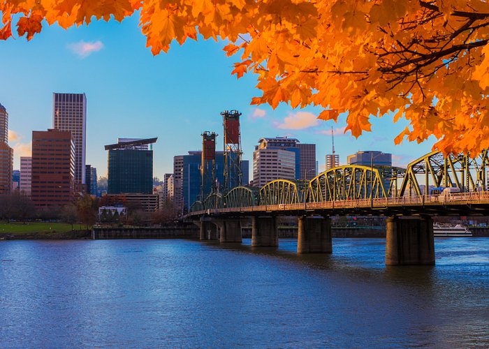 Node JS Development Company in Portland