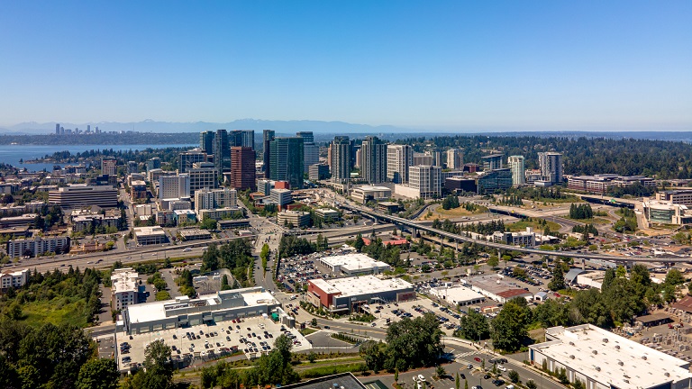 NFT Development Company in Bellevue