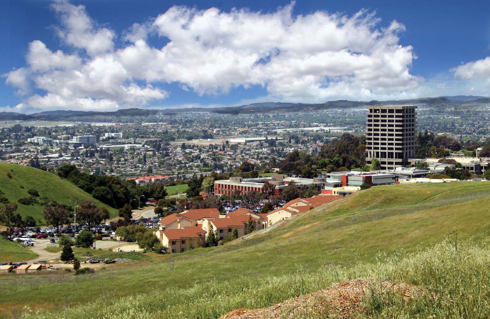 NFT Development Company in Hayward