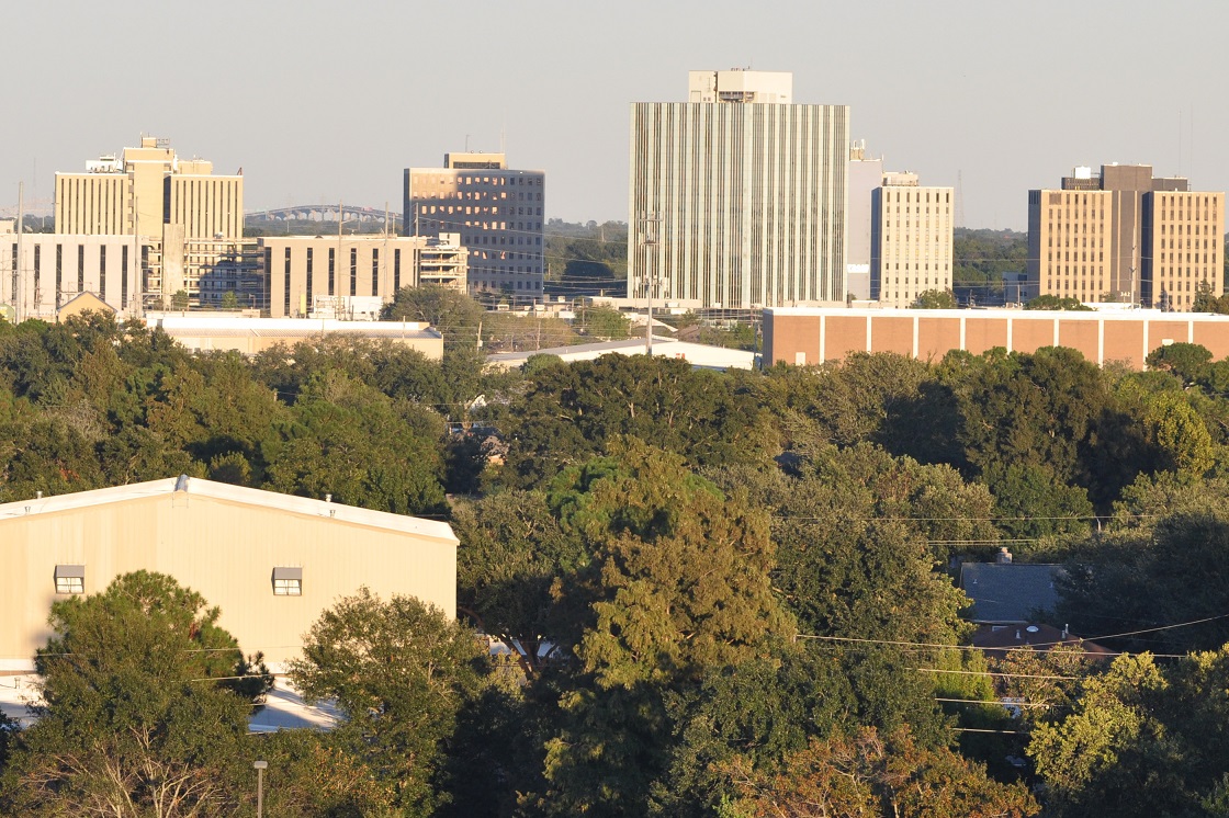 NFT Development Company in Metairie