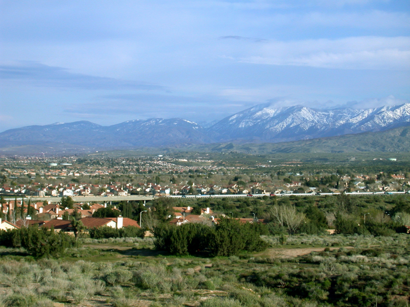 NFT Development Company in Palmdale