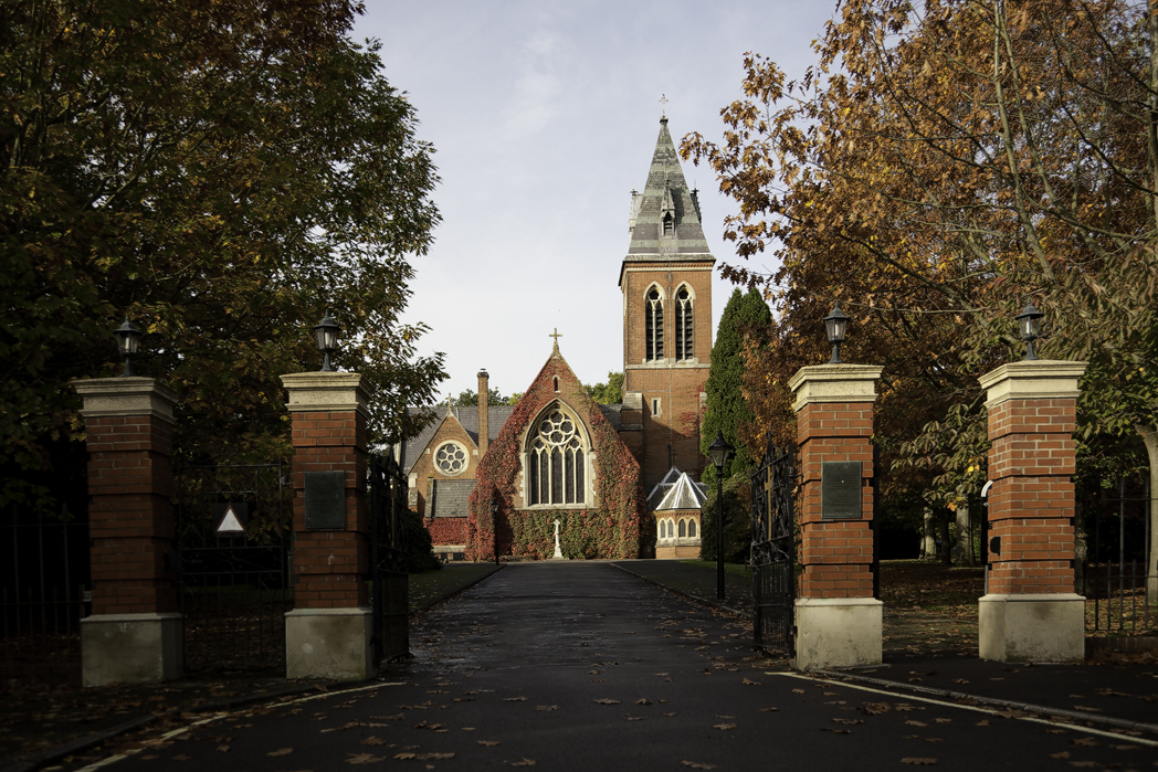 NFT Development Company in Aldershot