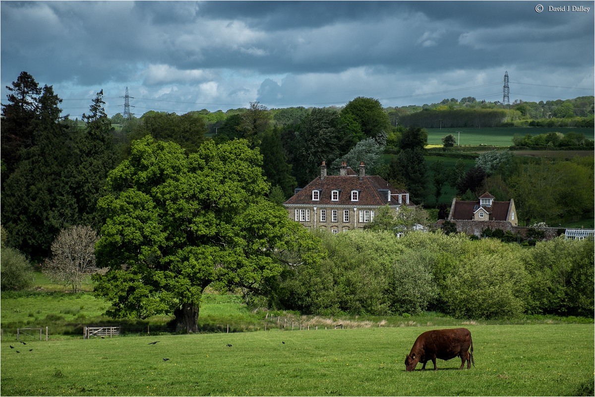 NFT Development Company in Billingshurst