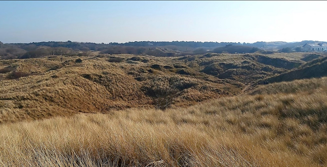 NFT Development Company in Formby