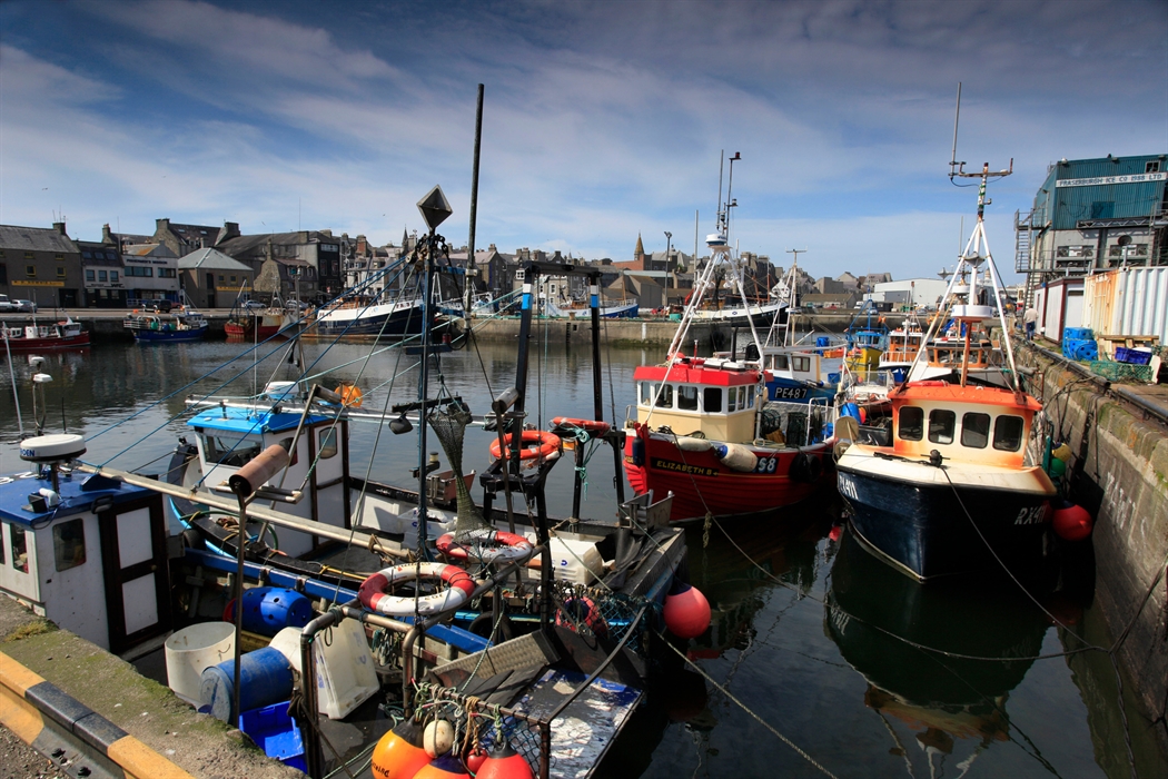 NFT Development Company in Fraserburgh