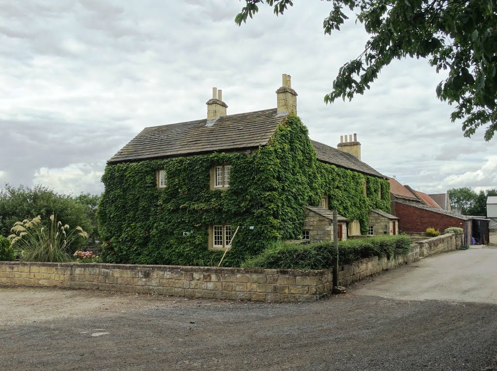 NFT Development Company in Thurnscoe