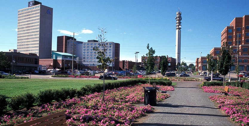 Machine Learning Solutions Agency in Moncton