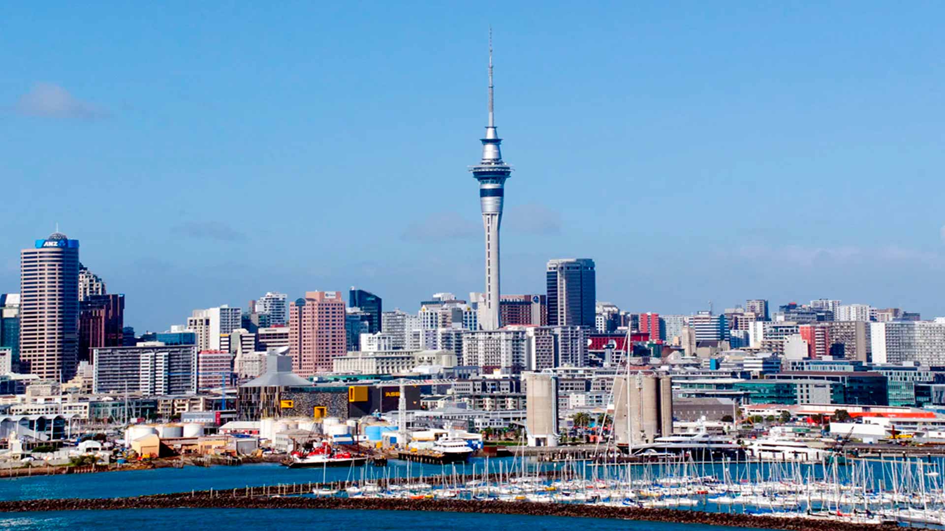PHP Development Company in Auckland