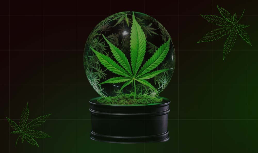 AI Cannabis