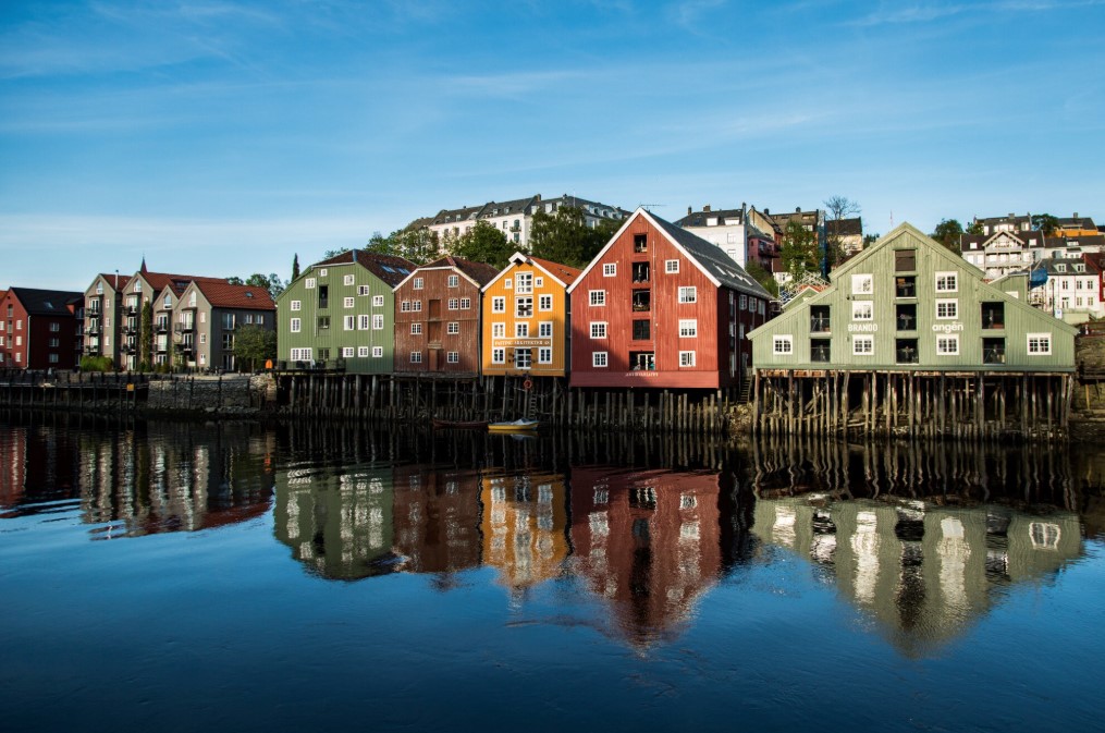 PPC Management in Bergen