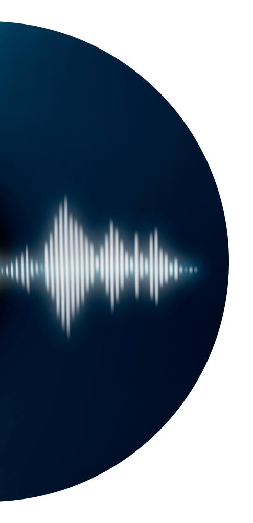 voice-recognition
